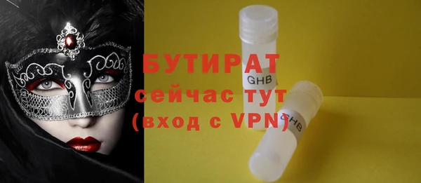 мдпв Каменка