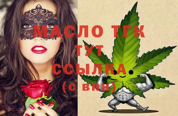мдпв Каменка