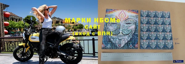 стафф Зеленокумск