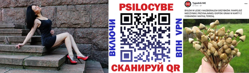 Псилоцибиновые грибы прущие грибы  купить наркотик  Людиново 