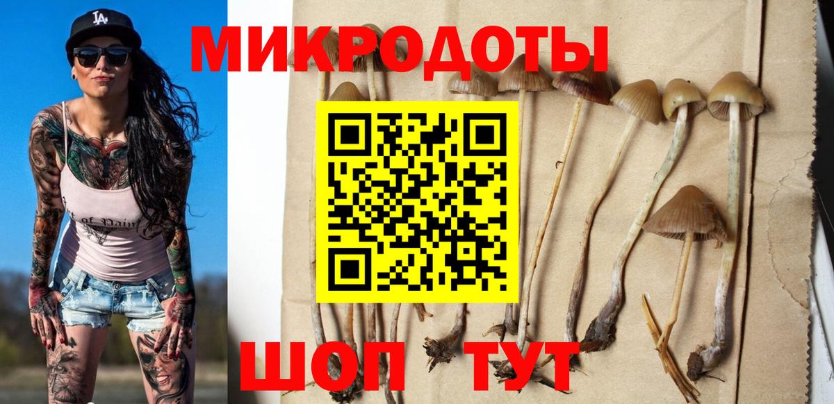 Людиново  Галлюциногенные грибы мухоморы  Вход с VPN 